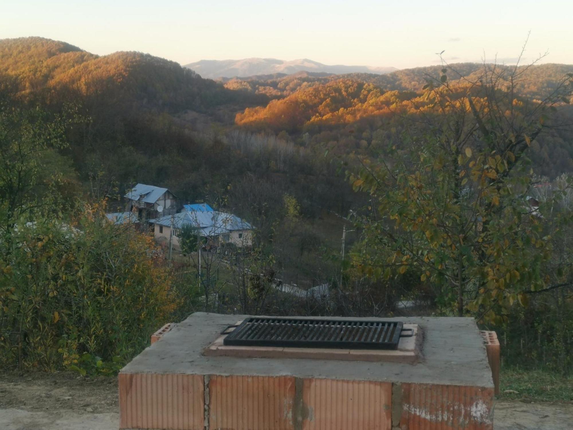 Cabanuta Fara Fite Villa Provita de Jos Buitenkant foto