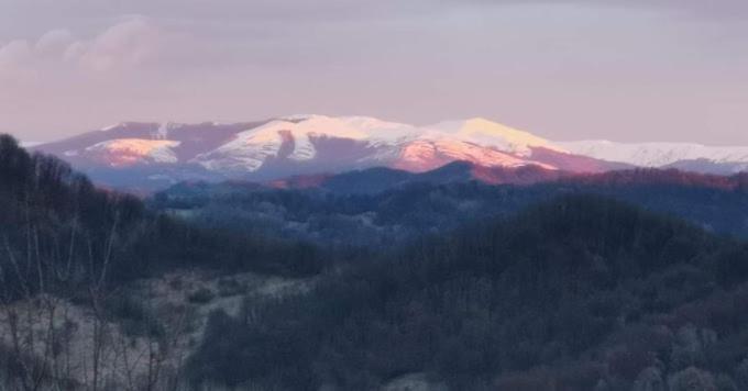 Cabanuta Fara Fite Villa Provita de Jos Buitenkant foto